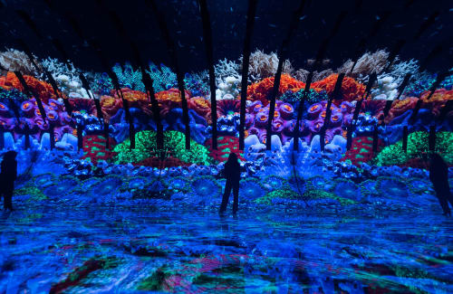 Silhouette standing before large video display of coral