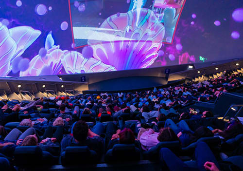 Giant Dome Theater audience looking up at a galaxy onscreen