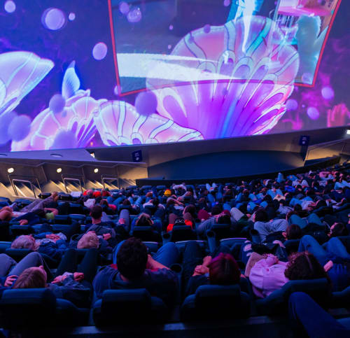 Giant Dome Theater audience viewing a colorful undersea image